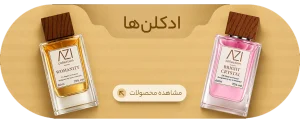 دسته بندی ادکلن ها